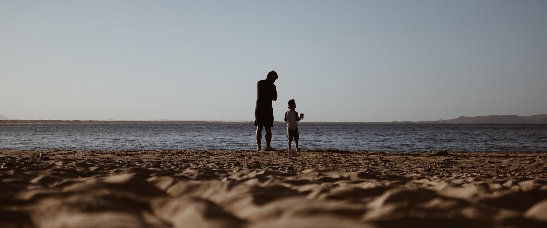 Family Reunification (EN)